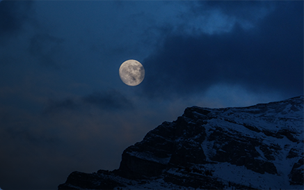 Feature Rich Tu: Hamilton Hustle